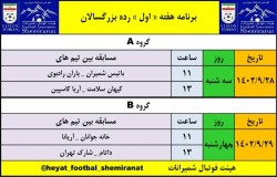 شایان شهیدی