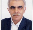 داود حبیبی