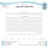 رای پیروزان فوتبال تکین - نام آوران شاهین مارلیک